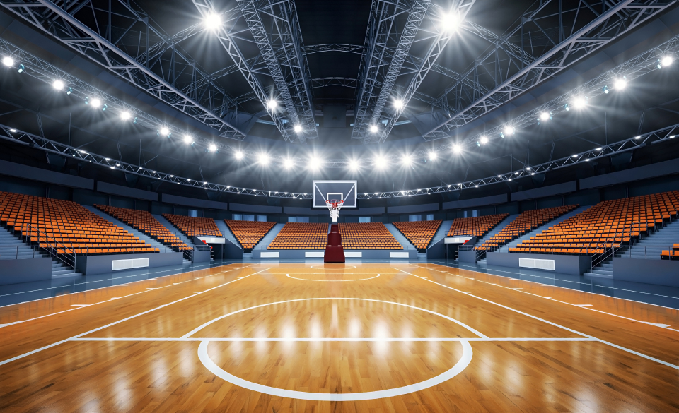 Entertainment Venue Roof